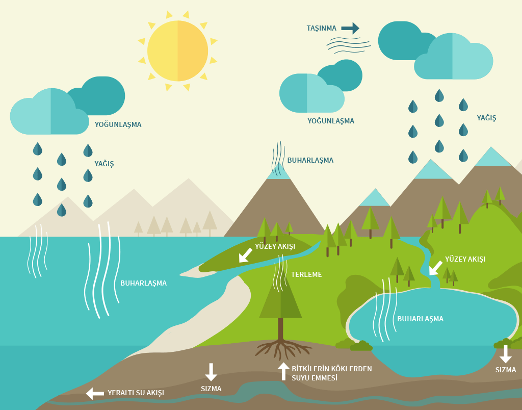 Su Döngüsü Nedir?