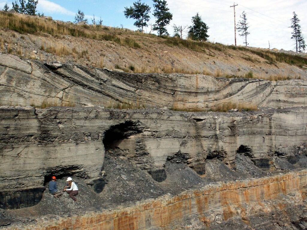 Sediment Nedir? Çevresel Etkileri Nasıl Ortaya Çıkarılır?